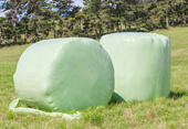 Std Round Bale Haylage